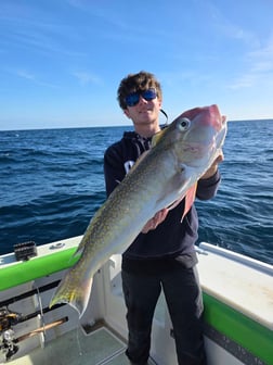 Fishing in Port Orange, Florida