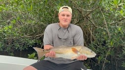 Fishing in Tampa, Florida