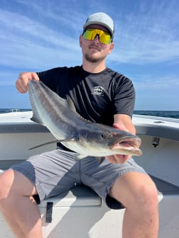 Fishing in Morehead City, North Carolina