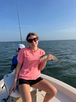 Fishing in Sarasota, Florida
