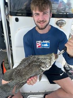 Fishing in Marco Island, Florida