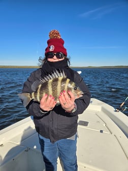 Fishing in Crawfordville, Florida