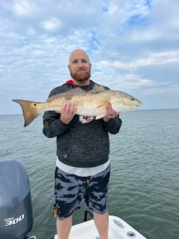 Speckled Trout Fishing in Port Arthur, Texas