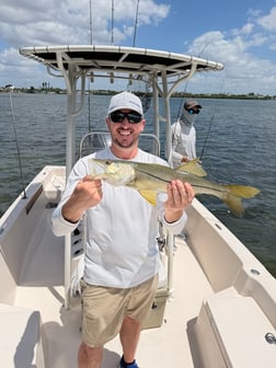 Fishing in Sarasota, Florida