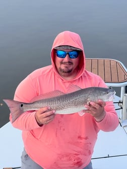 Fishing in Crystal River, Florida