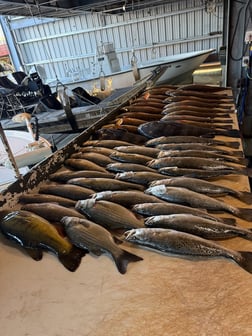Fishing in Venice, Louisiana