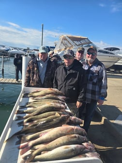 Fishing in Wyandotte, Michigan