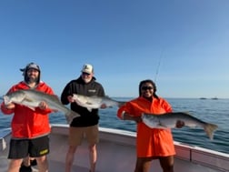 Fishing in Dennis, Massachusetts