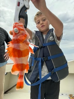 Fishing in Dana Point, California