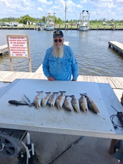 Fishing in Lafitte, Louisiana