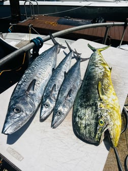 Fishing in Miami, Florida