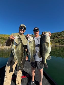 Fishing in Los Angeles, California