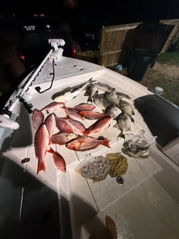 Fishing in Fort Morgan, Alabama