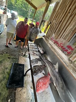 Fishing in D'Iberville, Mississippi