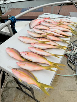 Fishing in Miami, Florida