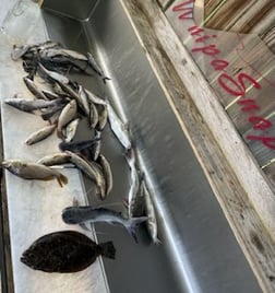 Fishing in D'Iberville, Mississippi