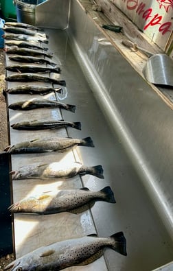 Fishing in D'Iberville, Mississippi