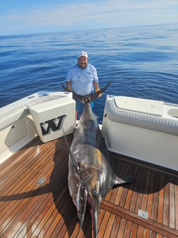 Fishing in Puerto Vallarta, Mexico