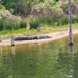 Fishing in Alba, Texas