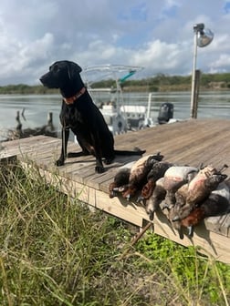 Fishing in South Padre Island, Texas