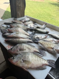 Fishing in Pope, Mississippi