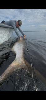 Fishing in Punta Gorda, Florida