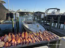 Fishing in St. Petersburg, Florida
