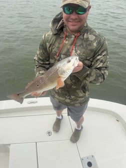 Fishing in Indian Rocks Beach, Florida