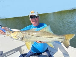 Snook Fishing in St. Petersburg, Florida