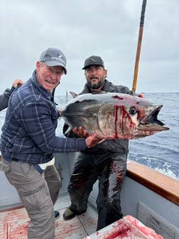 Fishing in San Diego, California