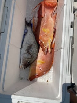 Fishing in Key West, Florida