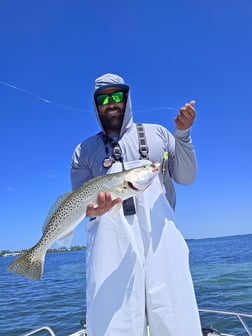 Fishing in Sarasota, Florida
