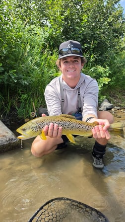 Fishing in Reno, Nevada