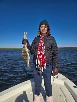 Fishing in Crawfordville, Florida