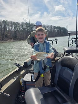Fishing in Harrison, Tennessee