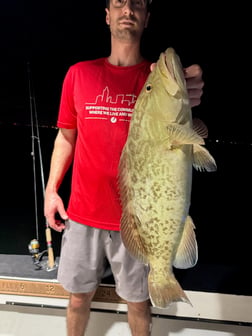 Fishing in St. Petersburg, Florida