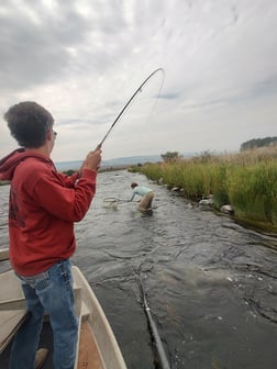 Fishing in Sheridan, Montana