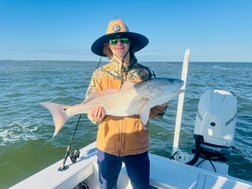 Fishing in Apalachicola, Florida