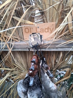 Hunting in Aransas Pass, Texas