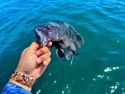 Fishing in Ocean Isle Beach, North Carolina