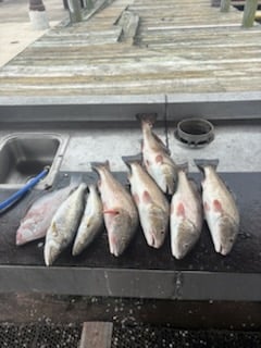 Fishing in Lake Charles, Louisiana
