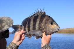 Fishing in Apalachicola, Florida