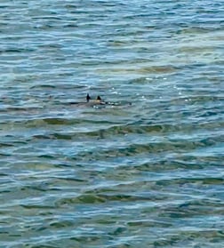 Fishing in Aransas Pass, Texas