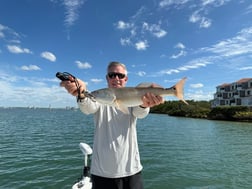 Fishing in Sarasota, Florida