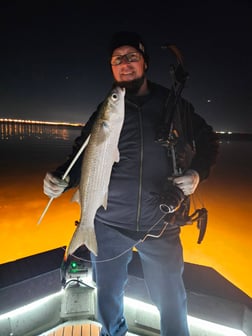 Fishing in Tampa, Florida