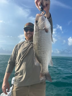 Fishing in Tavernier, Florida