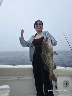 Fishing in St. Petersburg, Florida