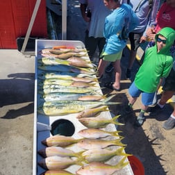 Fishing in Marathon, Florida