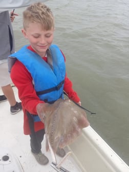 Stingray Fishing in Houston, Texas