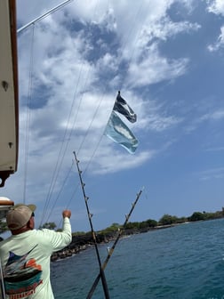 Fishing in Kaiminani, Hawaii